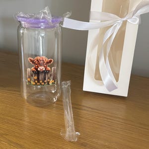 Tazza da caffè freddo Highland Cow, con coperchio e cannuccia, simpatico regalo a forma di mucca, 16 once, tazza di plastica trasparente, regalo per gli amanti delle mucche delle Highlands.