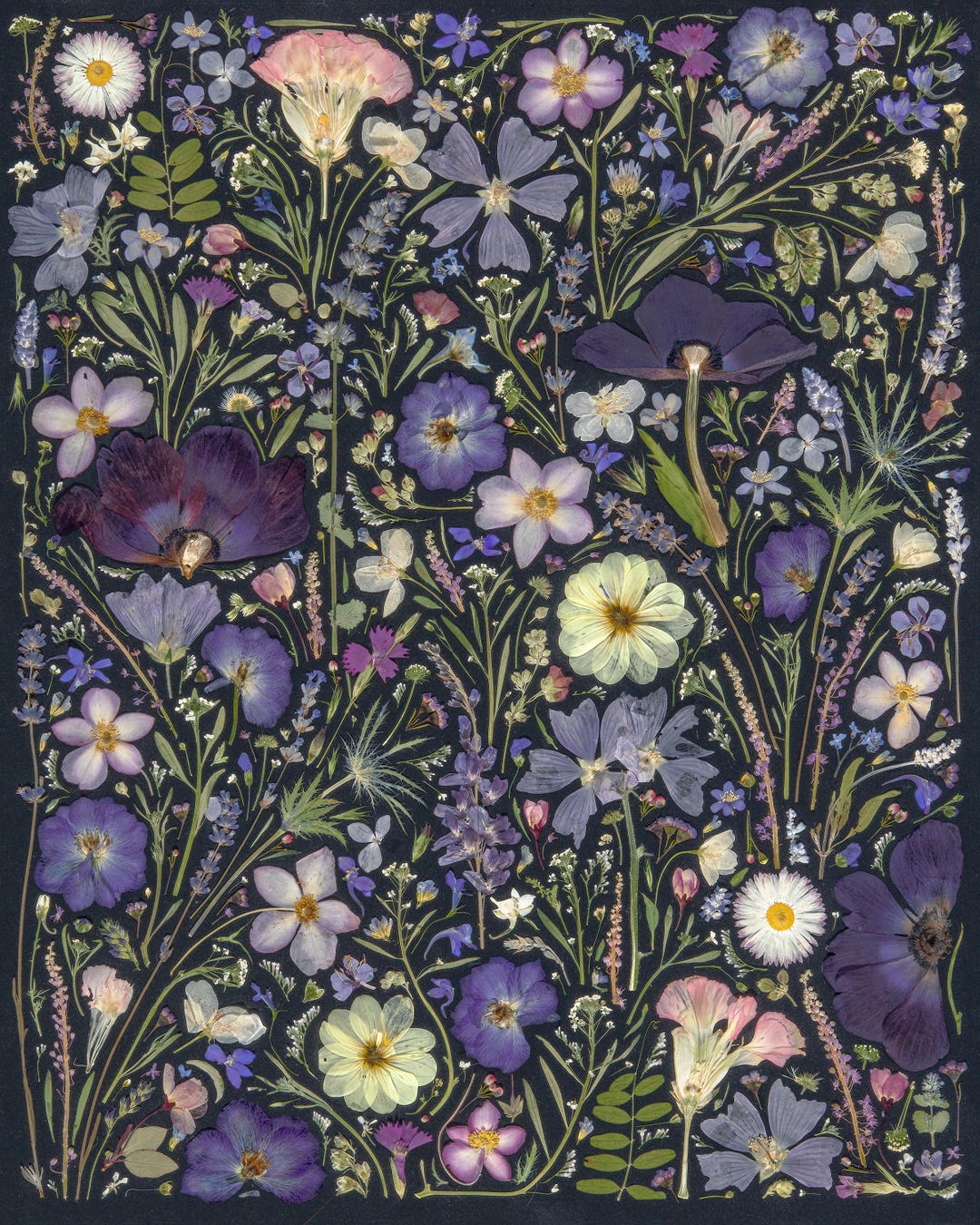 Floral Art PRINT Flower Wall Decor Modern Wall Art Pressed Flower