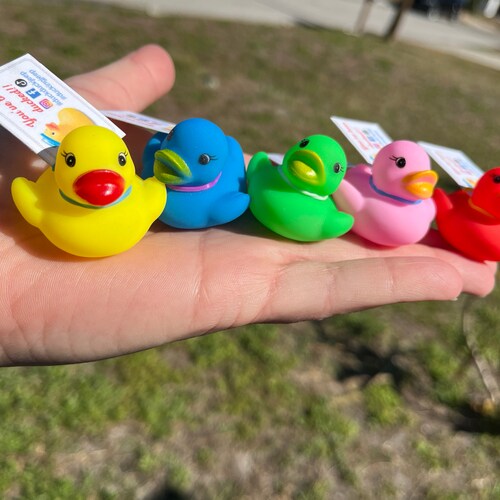 Ducking Bucket//duck-it Bucket//ducks 