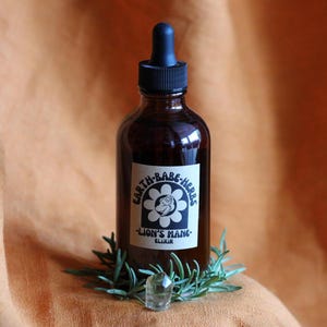 wild lion's mane elixir ~ adaptogen mushroom tincture ~ focus, memory, mood ~ double triple extract 4oz