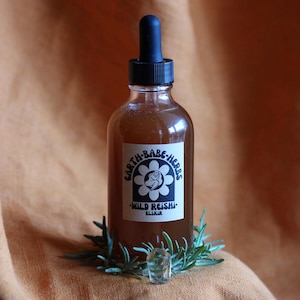 wild reishi elixir ~ bestseller adaptogenic medicinal mushroom tincture ~ potent double triple extraction 4oz