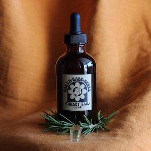 May include: A dark amber glass dropper bottle with a black cap and a rectangular label featuring a flower graphic and the text Earth-Babe-Herbs Turkey Tail Elixir. A sprig of green rosemary and a small clear crystal sit at the base of the bottle.