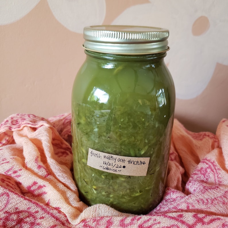 May include: A glass jar filled with a green liquid, labeled "fresh milky oat tincture 12/21/22 solstice". The jar is sitting on a pink and white patterned fabric.