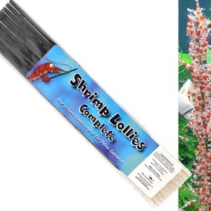 Shrimp Lollies Complete (10 pieces) / Shrimp Lollies Food Sticks Food Shrimp Lollies