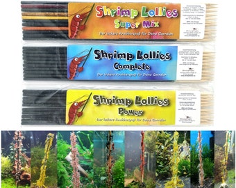 Shrimp Lollies Topseller Set / 31 Lollies / Complete Super Mix Power Prawns