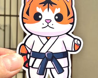 Cadeau Humour Martial Porte-clés Peluche Cochon Karaté KWON - Budo Arts Martiaux Peluche Arts Martiaux