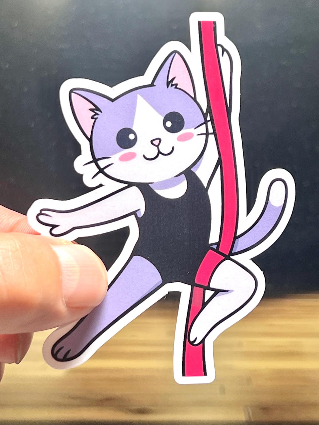Aerial Silks Cat Sticker for Acrobat Dancer Gifts Laptops Kindles Water ...