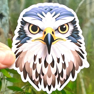 Falcon Sticker | Falcon Head Vinyl Sticker | Wilderness Gift | Falcon Lover | Water Bottle Sticker | Laptop Sticker | Bird of Prey