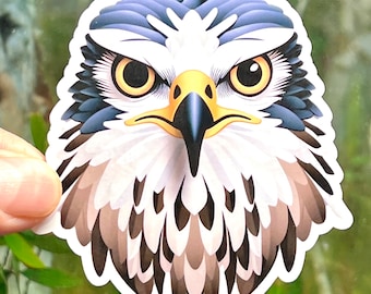 Falcon Head Waterproof Vinyl Sticker UV Car Decal and Falconry Lover Gifts