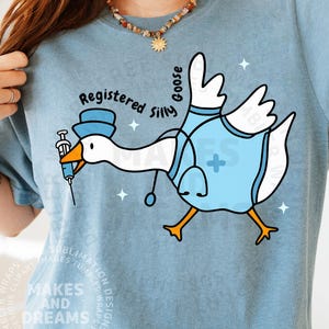 Alberne Gans Registered Nurse Png, Krankenpflegeschülerin Png Nursing School Shirt Design Registered Silly Goose Png RN Sublimation Design Dtf Dtg