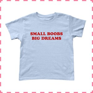 May include: A light blue t-shirt with the text "SMALL BOOBS BIG DREAMS" in red block letters. The shirt has short sleeves and a crew neck. The fabric appears to be a soft, lightweight material, suitable for casual wear.