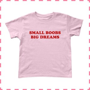 May include: A light pink t-shirt with the text "SMALL BOOBS BIG DREAMS" in red block letters. The shirt is a crew neck style and appears to be made of a soft material. The shirt is a solid color.
