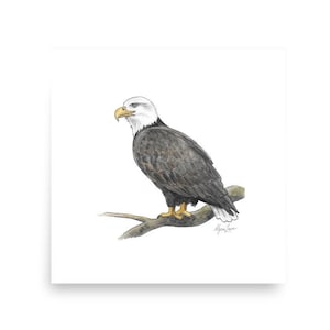 Eagle Watercolor Print