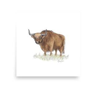 Yak Watercolor Print