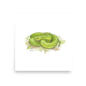 Wydruk akwarelowy Viper
