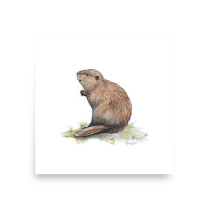 Beaver Watercolor Print