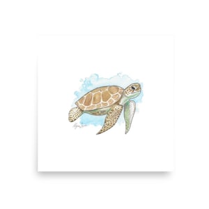 Turtle Watercolor Print