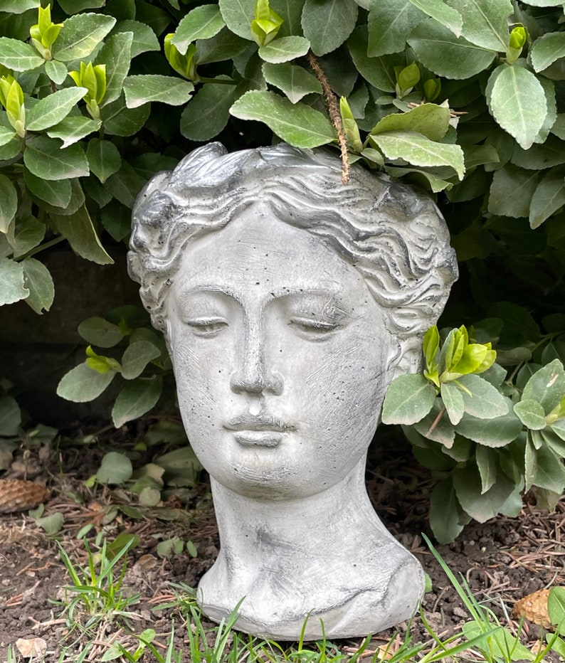 Large 3D Venus Goddess Concrete Head Face Bust Planter Holder - Etsy