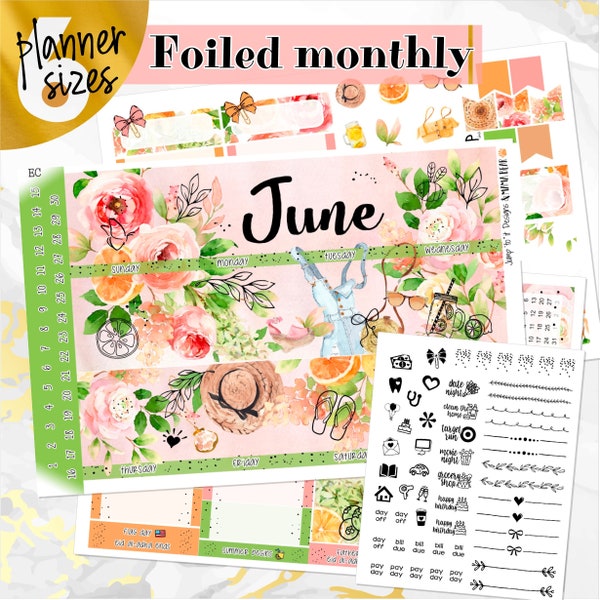 June Summer Delight FOILED monthly - Erin Condren Vertical Horizontal 7”x9”, Happy Planner Classic, Mini & Big