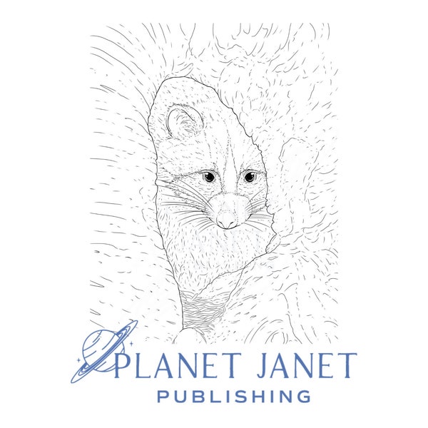 Raccoon Hiding in a Tree Hollow Line Drawing Semi-Realistic Line Art Fine art coloring pages from featured Photographer Bruce Danz