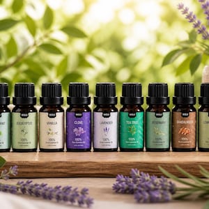 Peut inclure: Une collection de neuf flacons d'huiles essentielles avec des bouchons noirs et des étiquettes. Les étiquettes indiquent les noms des huiles : Menthe poivrée, Eucalyptus, Vanille, Clou de girofle, Lavande, Arbre à thé, Romarin, Bois de santal et Citronnelle.