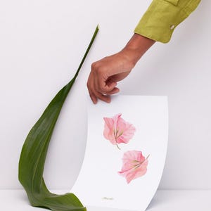Bougainvillea Art Print Bougainvillea Decoration Mediterranean Flower Wall Art Bouganvillea Home Decor Watercolor Bouganvillea Wall Decor