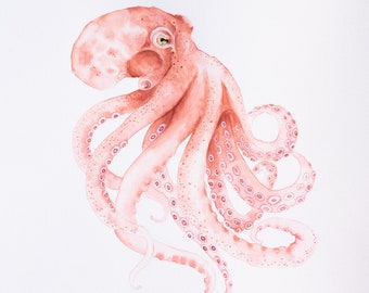 Octopus Watercolor Painting Sealife Themed Artwork Octopus Art Wall Hanging Octopus Wall Art for Nature Lover Decor Gift Sealife Art Print
