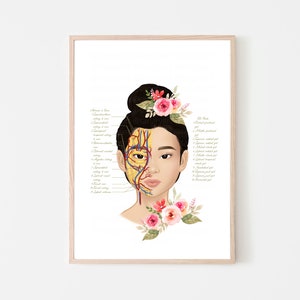 Botox & Filler Injector Facial Fad Pads Blood Vessels Anatomy Art Poster | Nurse Injector | Dermatology | Medspa| Digital Download