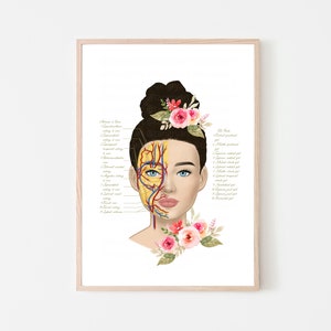 Botox & Filler Injector Facial Fad Pads Blood Vessels Anatomy Art Poster | Nurse Injector | Dermatology | Medspa| Digital Download
