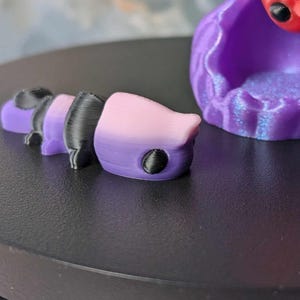 Shrimp and Tank Set | Miniature Set | 3D Printed Shrimp | Desk Aquarium | Marine Collectibles | Cute Shrimp | Gifts for Her | Gifts for Him