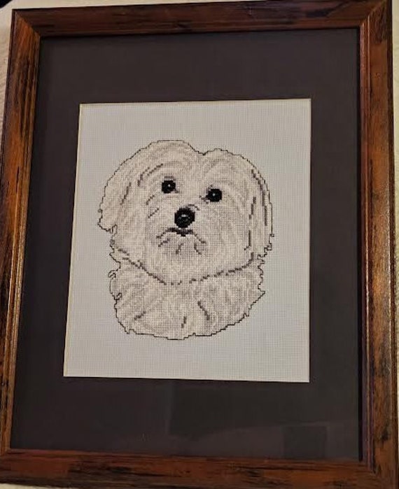 Why Do Dogs Face The Wall