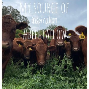 Puede incluir: Un grupo de vacas marrones con etiquetas amarillas en las orejas se encuentran en un campo de hierba verde. El texto "MY SOURCE OF inspiration #BEEFTALLOW" est&aacute; escrito en blanco sobre un fondo de cielo azul.