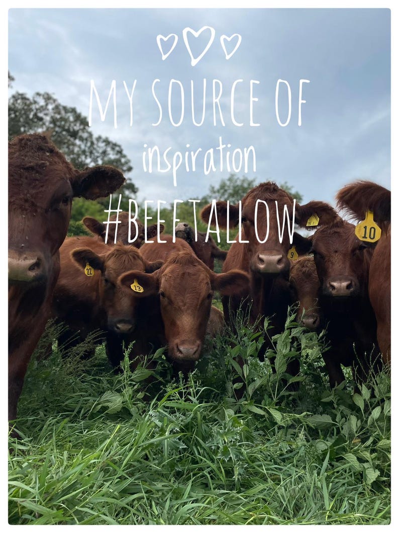Puede incluir: Un grupo de vacas marrones con etiquetas amarillas en las orejas se encuentran en un campo de hierba verde. El texto "MY SOURCE OF inspiration #BEEFTALLOW" est&aacute; escrito en blanco sobre un fondo de cielo azul.