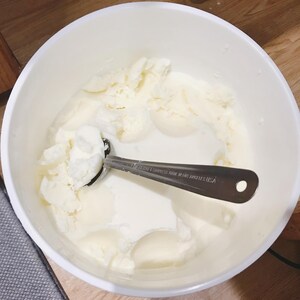 May include: A white bowl filled with white ice cream with a silver ice cream scoop on top.