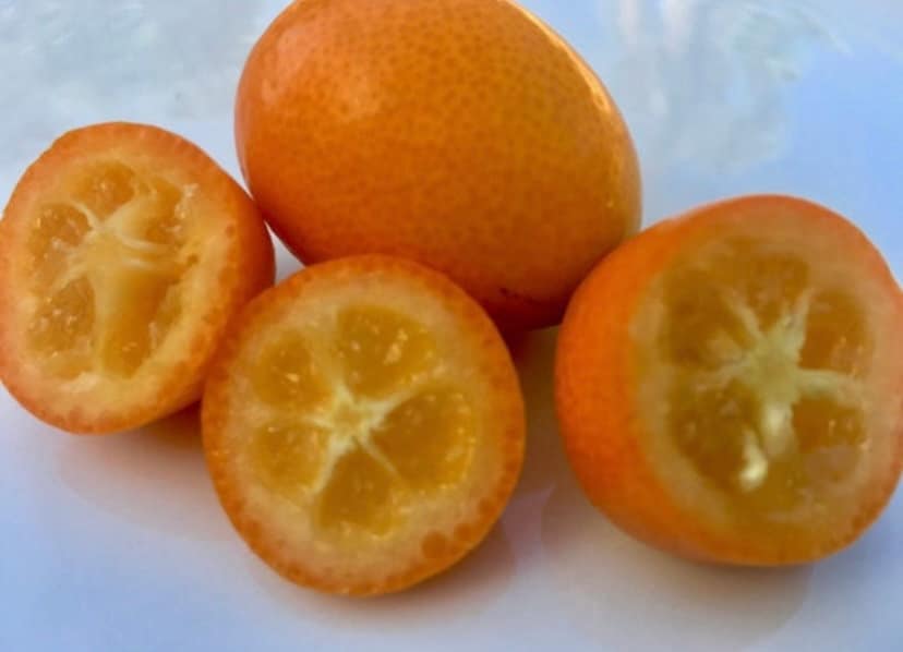 3 Lbs. Fresh Kumquats Grown in Sunny Fallbrook, CA Pesticide Free