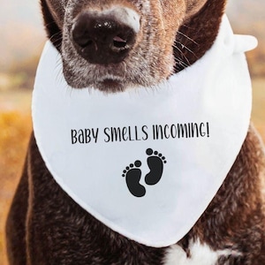 Pregnancy announcement dog bandana baby announcement new mom pregnancy announcement big brother/ big sister dog pregnancy announcement