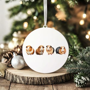 Guinea pig lover christmas gift guinea pig ornament for guinea pig lover gift for guinea pig mom gift birthday gift guinea pig decor home