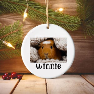 Guinea Pig Christmas Ornament Personalized Gift guinea pig Holiday Decor Stocking Stuffer Pet Lover Ornament guinea pig mom gift guinea pig