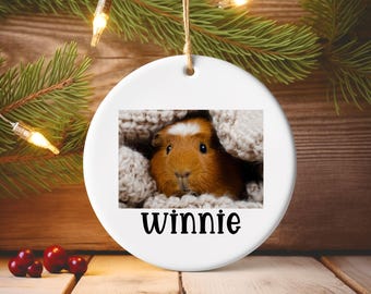 Puede incluir: Adorno navideño de cerámica blanca con una imagen de un conejillo de indias en una manta clara. El conejillo de indias es marrón y blanco, con el nombre "winnie" impreso en negro debajo. Colgando de una cuerda.