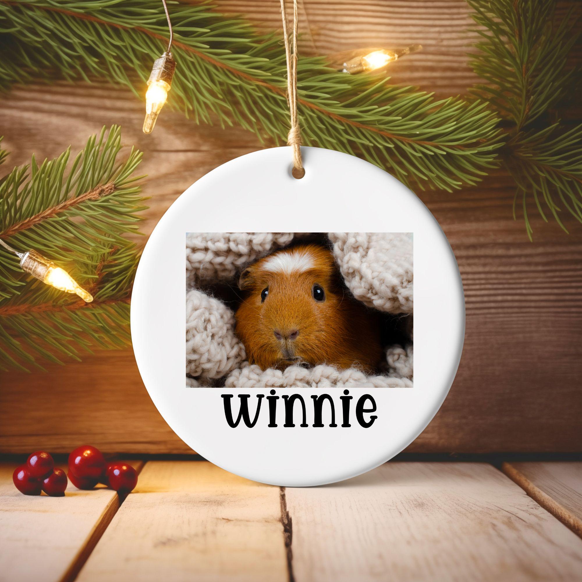 Guinea Pig Christmas Ornament Personalized Gift Guinea Pig Holiday