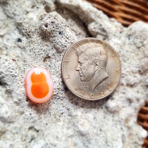 Könnte beinhalten: Eine ovale, orangefarbene und weiße Perle. Die Perle befindet sich neben einer US-amerikanischen Half-Dollar-Münze. Die Münze zeigt ein Profil von John F. Kennedy und die Worte "IN GOD WE TRUST" sowie das Datum "2022".