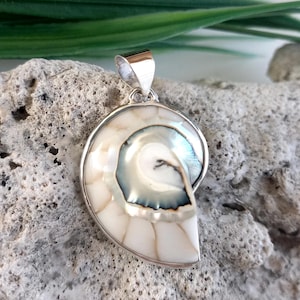 925 Sterling Silver Small White Colored Nautilus Shell Pendant