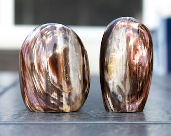 High Quality Petrified Wood Free From with Druzy | Petrified Wood Freeform with Druzy | YOU CHOOSE