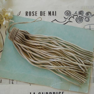 Peut inclure: Un pompon argenté avec une longue frange fine. Le pompon est composé de nombreuses petites mèches de métal enroulées.