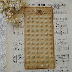 Peut inclure: Une carte vintage avec une grille de 49 petits boutons ronds vert clair. La carte est intitulée "Manufacture de Boutons de Paris" et "Nouveauté pour Dames" avec une illustration de papillon.