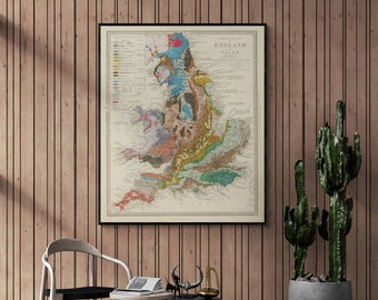 May include: A vintage framed map of England and Wales, showing geological formations in various colors. The map is hanging on a wood-paneled wall with a cactus plant in a gray pot in the foreground.