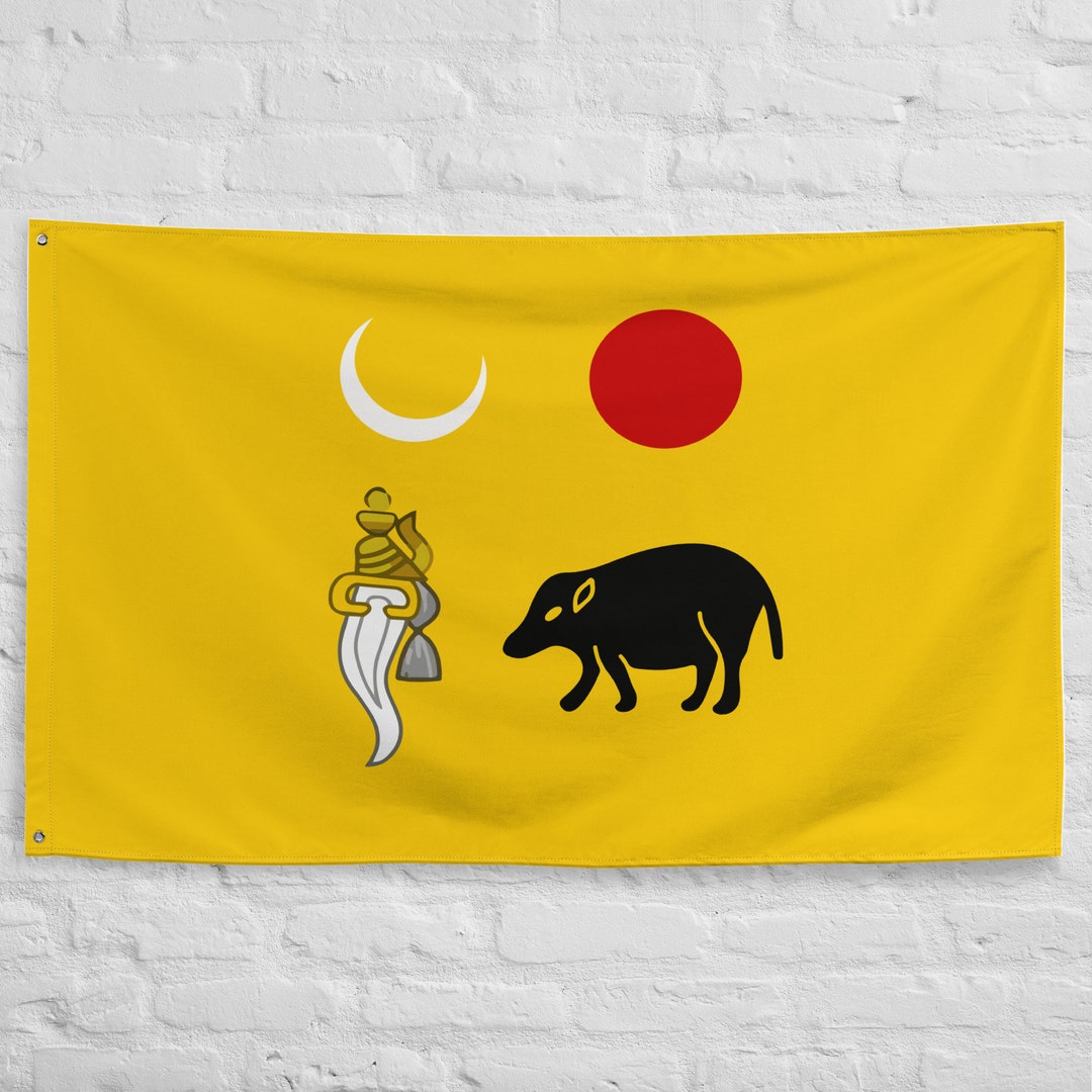 Vijayanagar Empire Flag, Historical Indian Banner, Vijayanagara Dynasty