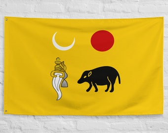 Vlag van het Vijayanagar-rijk, historische Indiase banner, symbool van de Vijayanagara-dynastie, Zuid-Indiase koninkrijksinsignes, Vijayanagar-dynastie