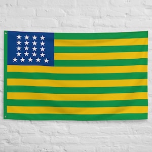 1889 First Brazil Flag