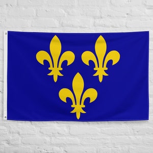 Siglo 14 - Siglo 16 Francia Banderas bandera 100% poliéster con 2 arandelas de hierro Blue Fleur De Lis Bandera francesa